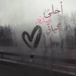 تحميل روايه احلى صدفه بحياتي كامله pdf