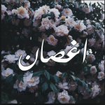 تحميل رواية اغصان الياسمين pdf كاملة مجانا