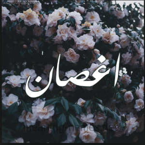 تحميل رواية اغصان الياسمين pdf كاملة مجانا