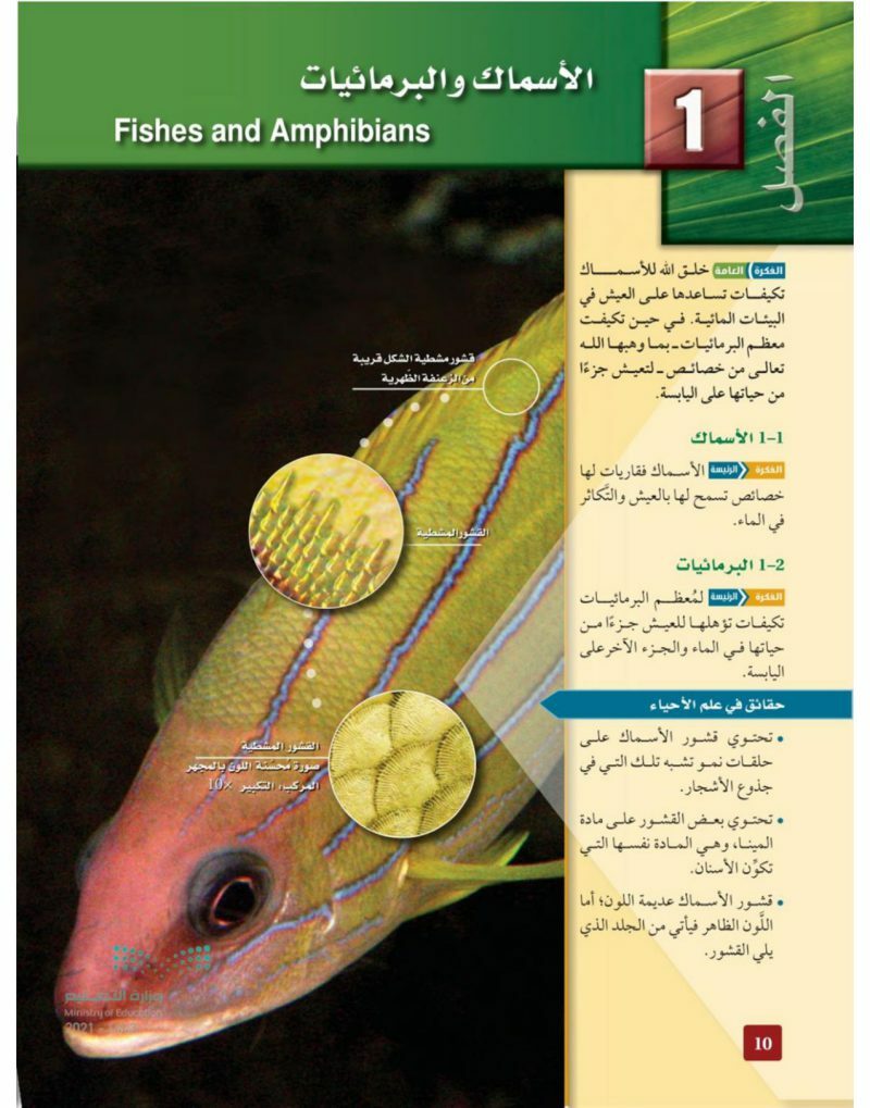 الاسماك والبرمائيات – المنهاج السعودي