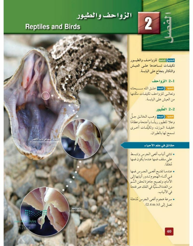 الزواحف والطيور – المنهاج السعودي