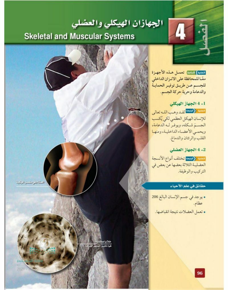 الجهازان الهيكلي والعضلي – المنهاج السعودي