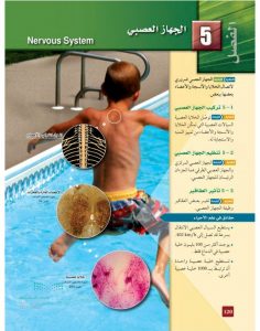الجهاز العصبي – المنهاج السعودي