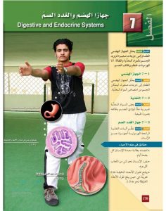 جهازا الهضم والغدد الصم – المنهاج السعودي