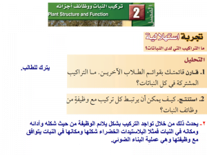 تركيب النبات وظائف اجزائه – المنهاج السعودي
