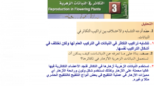 التكاثر في النباتات الزهرية – المنهاج السعودي