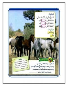 الفصل الخامس جمع الاعداد – المنهاج السعودي