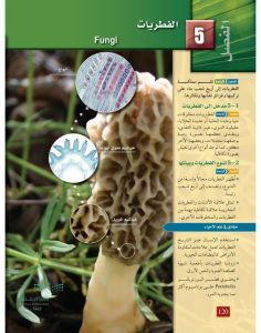 الفصل الخامس الفطريات – المنهاج السعودي