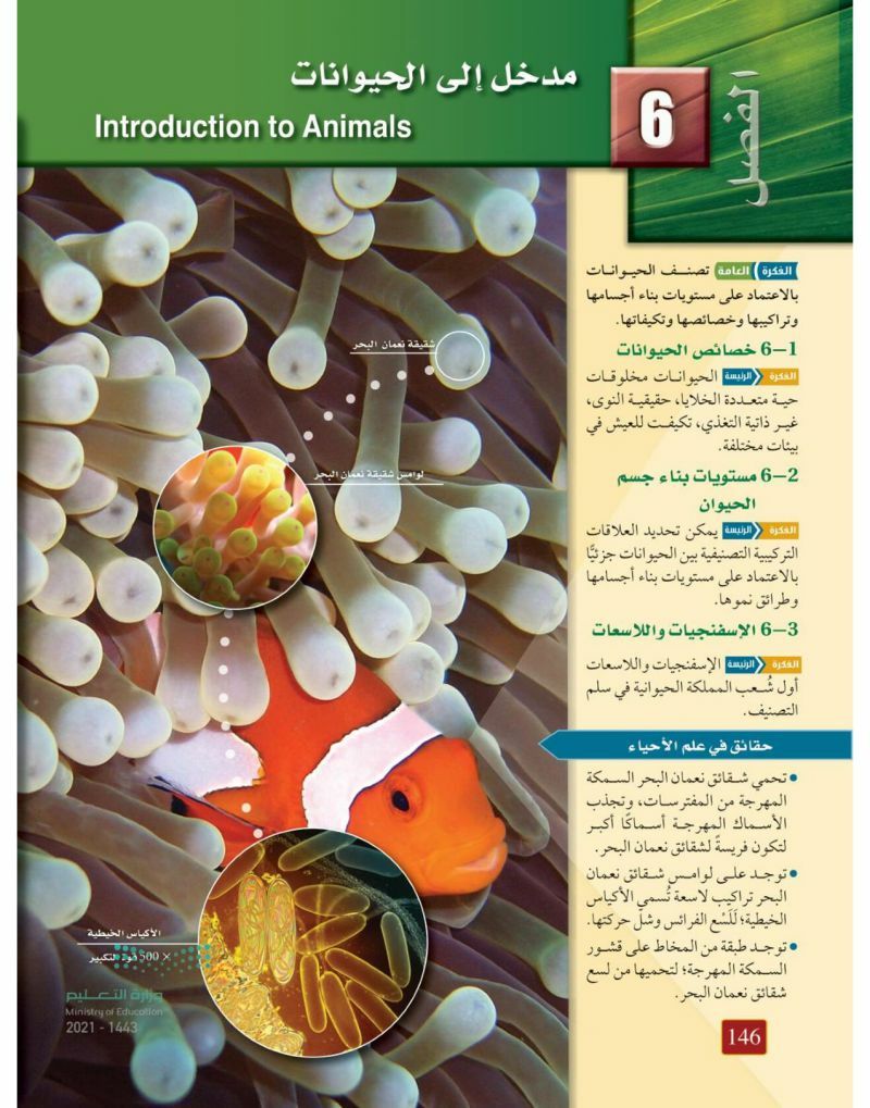 الفصل السادس مدخل الى الحيوانات – المنهاج السعودي