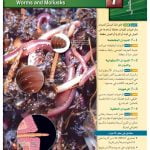 الفصل السابع الديدان والرخويات – المنهاج السعودي
