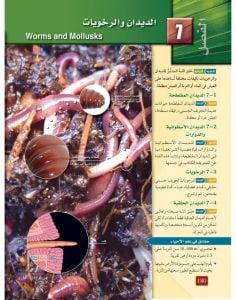 الفصل السابع الديدان والرخويات – المنهاج السعودي