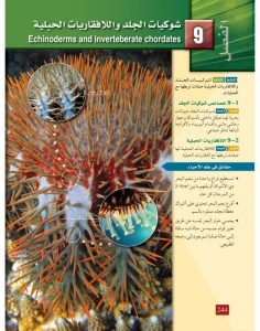 الفصل التاسع شوكيات الجلد واللافقاريات الحبلية – المنهاج السعودي
