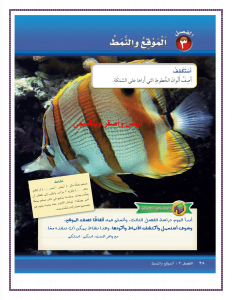 الفصل الثالث الموقع والنمط – المنهاج السعودي