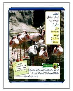 الفصل الثاني طرايق الجمع – المنهاج السعودي