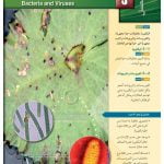 الفصل الثالث البكتريا والفيروسات – المنهاج السعودي