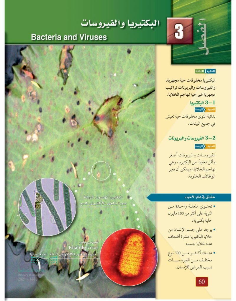 الفصل الثالث البكتريا والفيروسات – المنهاج السعودي