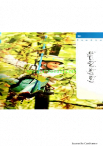 حل الوحدة الرابعة, (لغة عربية) الخامس