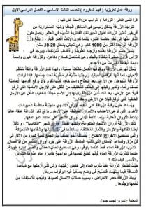 ورقة عمل تعزيزية فهم المقروء الزرافة, (لغة عربية) الثالث