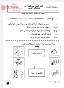 اختبار تكويني في درس النباتات من حولنا