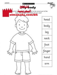 ورقة تدريب وصل وتلوين (لغة انجليزية) الثاني