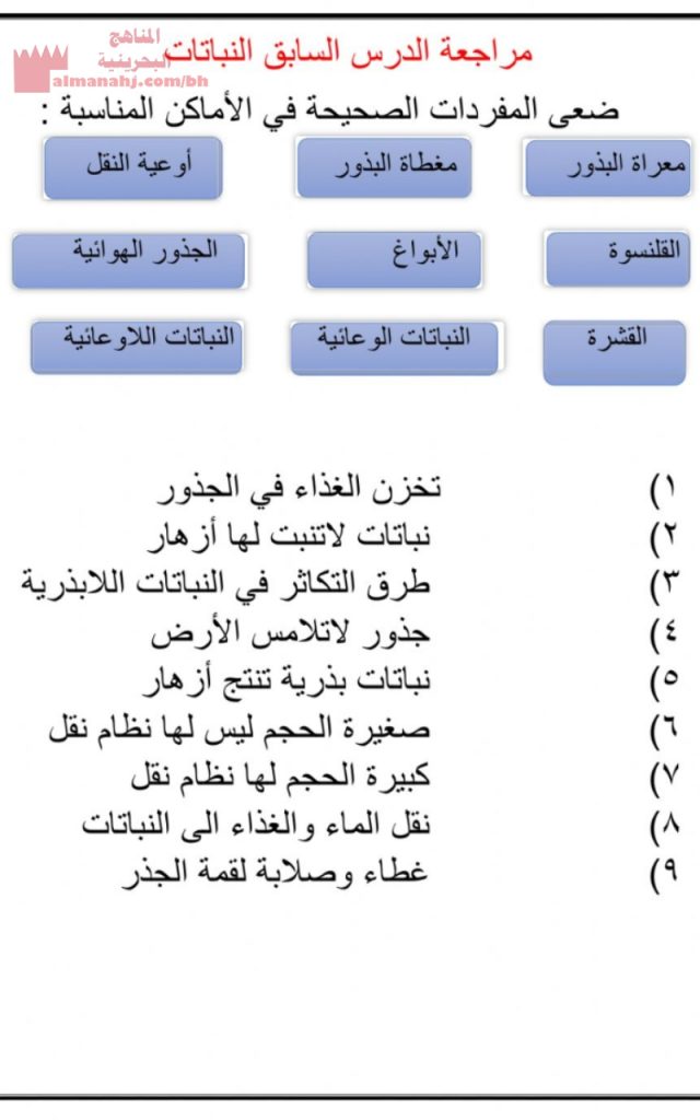 مراجعة حول درس النبات (علوم) الخامس