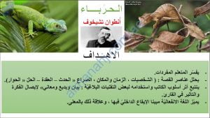 شرح وتحليل نص الحرباء لأنطوان تشيخوف, (لغة عربية) الثاني عشر المتقدم