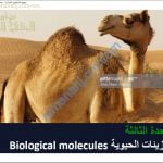 ملخص شرح درس مم يتكون جسمك مع حل الأنشطة (أحياء) التاسع