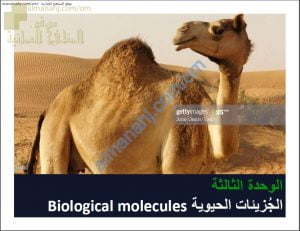 ملخص شرح درس مم يتكون جسمك مع حل الأنشطة (أحياء) التاسع