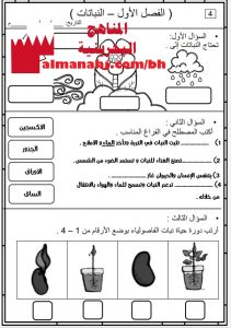 اختبار (الفصل الأول النباتات)