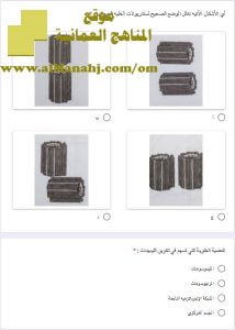 اختبار قصير أول الكتروني نموذج 1 (أحياء) الثاني عشر