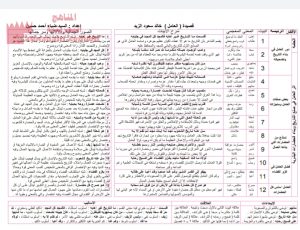 شرح وتحليل قصيدة (العامل)