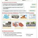 ورقة عمل الدرس الثالث CHANGES IN LANDSCAPES OVER TIME, منهج انجليزي (علوم) الرابع