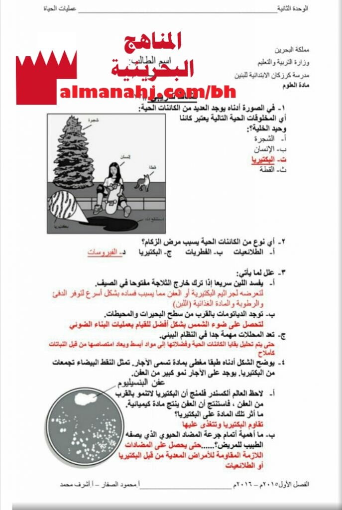 أنشطة تدريبية مع الحل
