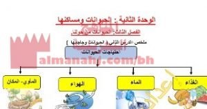 شرح درس الحيوانات من حولنا، ابحيوانات وحاجاتها