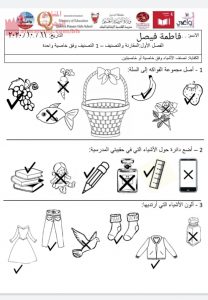 إجابة ورقة العمل التصنيف وفق خاصية واحدة