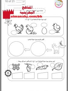 نشاط تدريبي (الحيوانات تنمو وتتغير) (علوم) الثاني