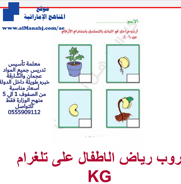 ورقة عمل ترتيب نمو النباتات, (علوم) KG2