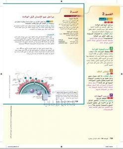 حل درس مراحل نمو الإنسان قبل الولادة (الوحدة 26 تكاثر الإنسان وتطوره), (علوم) التاسع المتقدم