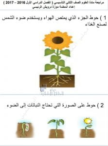 مراجعة شاملة للفصل الأول (علوم) الثاني