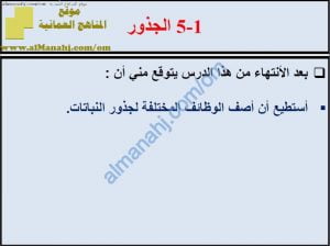 ملخص شرح درس الجذور مع حل الأنشطة (علوم) الثامن