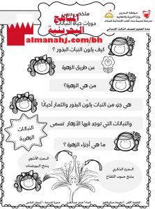 ملخص درس دورات حياة النباتات ودرس دورات حياة الحيوانات (علوم) الثالث