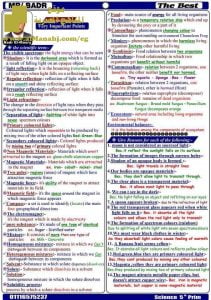 ورقتين تحتويان على أهم نقاط المنهج بطريقة منظمة ومرتبة