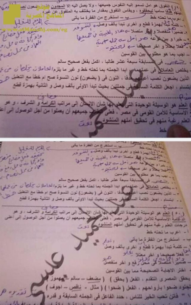 أهم قطع النحو ملف مكون من 12 ورقة