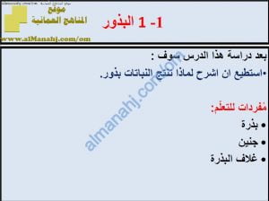 ملخص شرح درس البذور مع حل الأنشطة (علوم) الخامس