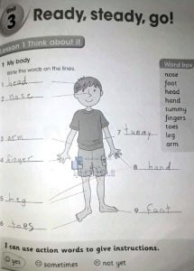 حل الوحدة الثالثة, (لغة انجليزية) الثالث