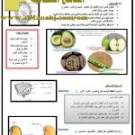 مذكرة حصاد الوحدة الأولى (استقصاء نمو النبات) (علوم) الخامس