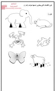 مراجعة حرف الفاء (لغة عربية) الأول