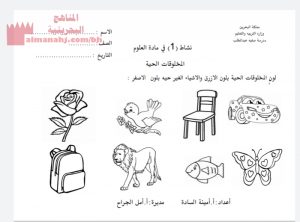 نشاط (1) في درس المخلوقات الحية (علوم) الأول