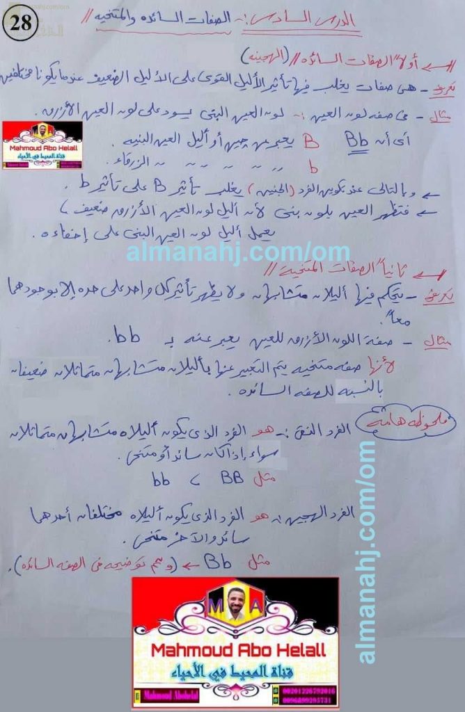 ملخص شرح درس الصفات السائدة والمتنحية مع صور توضيحية ومخططات (علوم وبيئة) الثاني عشر