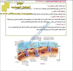 ملخص في فصل النقل في الحيوان مع مخططات مفاهيمية (أحياء) الحادي عشر
